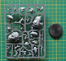 Warhammer  Old world / AOS : loonboss on giant squig / chef gobelin sur squig