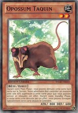 Yu-Gi-Oh - Opossum Taquin