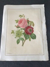 GRAVURE FLORALE PIERRE JOSEPH