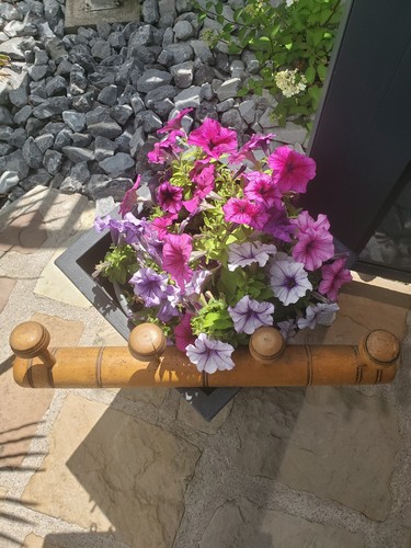 Porte manteaux champignon - , en