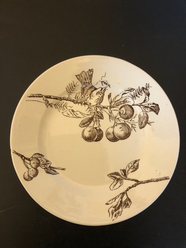 Assiette décor oiseau - décor, sur
