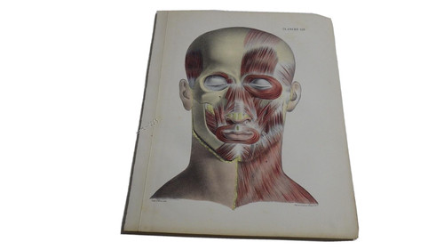 1850 lithographie couleur - 1850.lithographie,