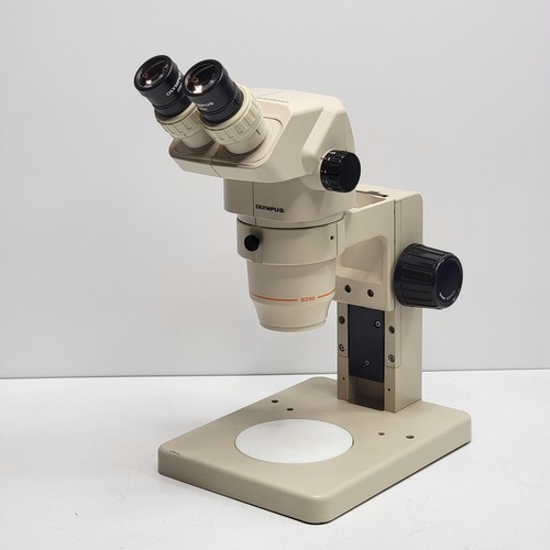 Nice olympus zoom - zoom, stereo