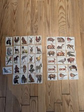 42 X images,  Stenval 1970