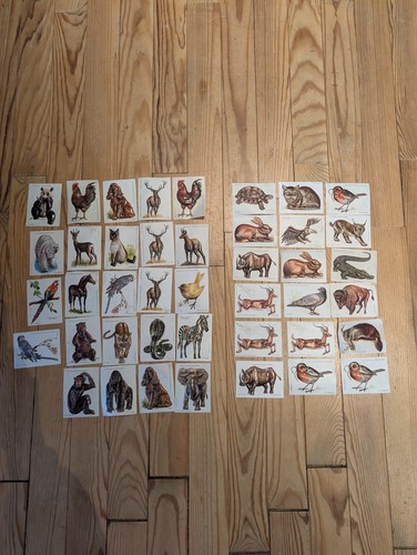 Images stenval 1970 - 42,