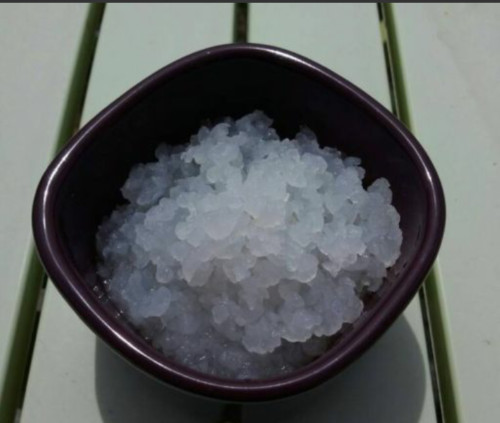 Grains frais kefir de - grains,