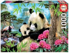 - Puzzle de 1000 pièces pour Adultes | Pandas. À partir de 14 Ans 17995