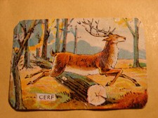 BON POINT. CERF. CREPE VELPEAU