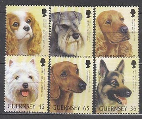 Guernesey courrier 2001 - guernesey,
