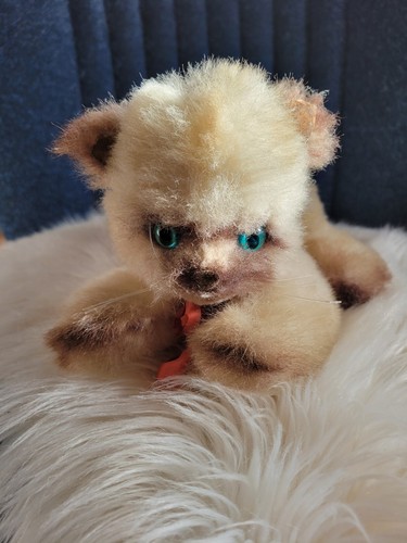 Petit chat peluche - chat, vintage