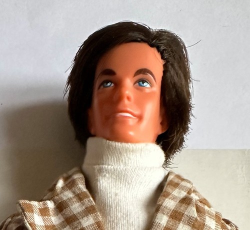 Poupée barbie ken mod - ken, hair