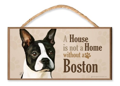 Boston terrier house - v3,