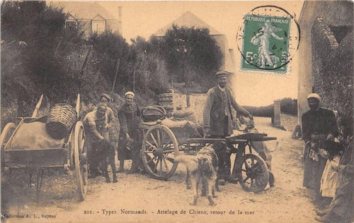 Cpa types normands - 14, attelage
