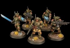 Commission PRO Painted -