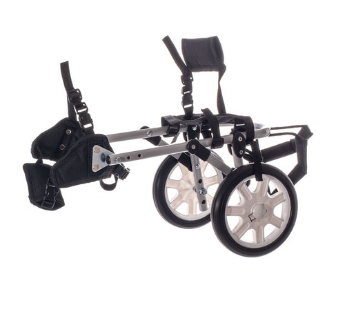 Fauteuil roulant pour - fauteuil, chien