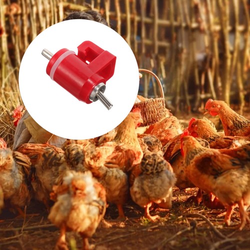 Pcs tétines - 10,