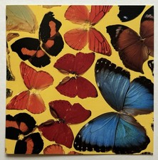 DAMIEN HIRST  - Carton d invitation - 2007