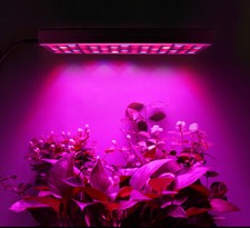 Lampe LED Pour Culture De