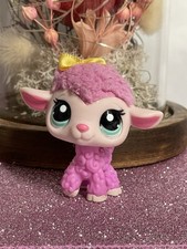 🌺🌺Petshop mouton