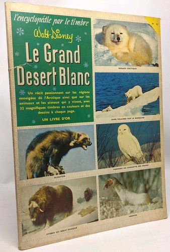 Grand désert blanc - désert,