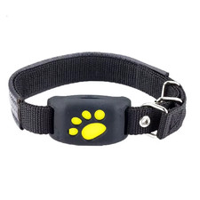Collier suivi gps temps - collier, de