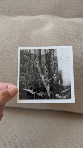 Photo ancienne homme forêt