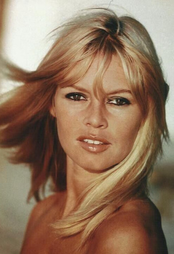 Brigitte bardot photo - bb,