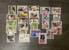 BÉBÉS ANIMAUX CÂLINS (2011) - Lot 8 Images Stickers Panini au choix!