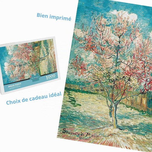 Puzzle 1000 pièces avejoys - 1000,