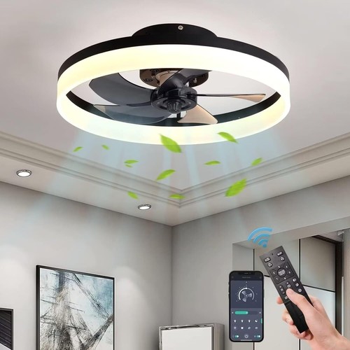 Ventilateur plafond avec - de,