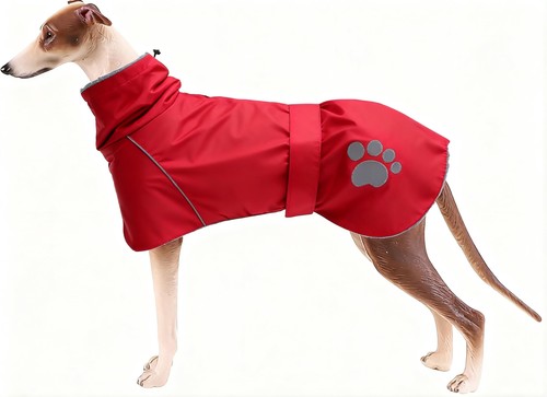 Chien manteau hiver - chien,