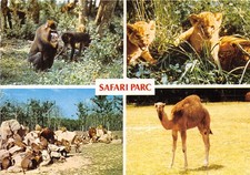 07-PEAUGRES-SAFARI