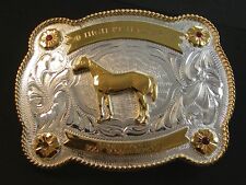 Vintage 20 High Pt Halter 05