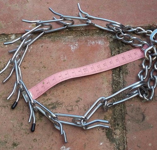 Collier chien pour - collier,