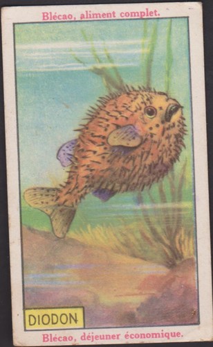 Chromo ancien publicitaire - ancien,