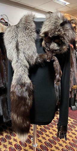 Silberfuchs fuchs fourrure - silberfuchs,