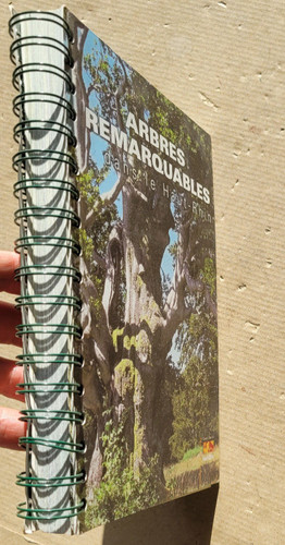 Arbres remarquables dans - , le