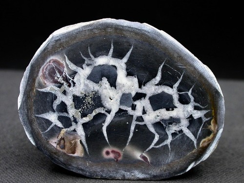Septaria maroc 8 - -,