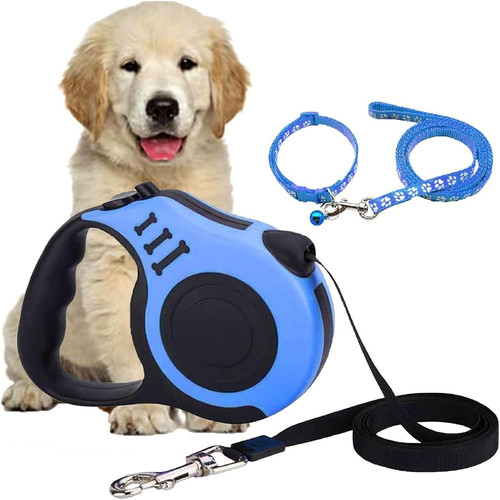 Laisse chien - laisse,
