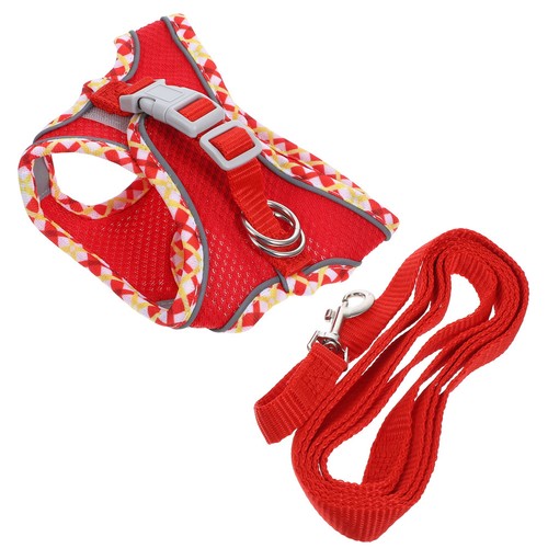 Harnais laisse chat portable - laisse,