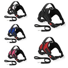 Chien Harnais Ne Tirer Pour Petit Moyen Grand Chien Anti Tirer Fort & Réglable