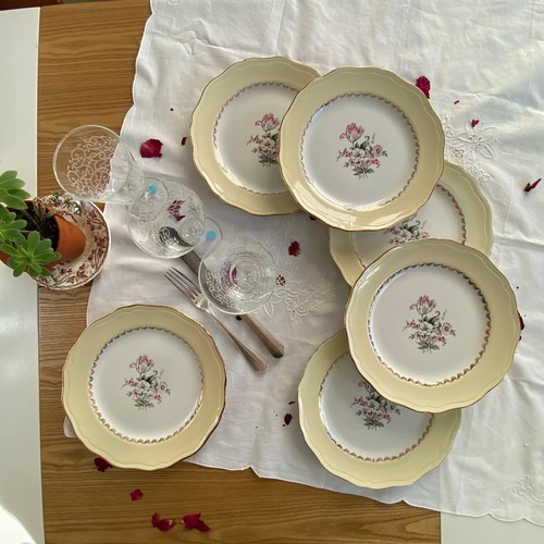 Assiettes plates faïence - plates,
