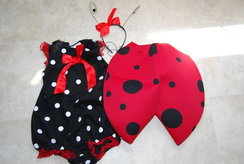 Lady bag costume halloween - bag,