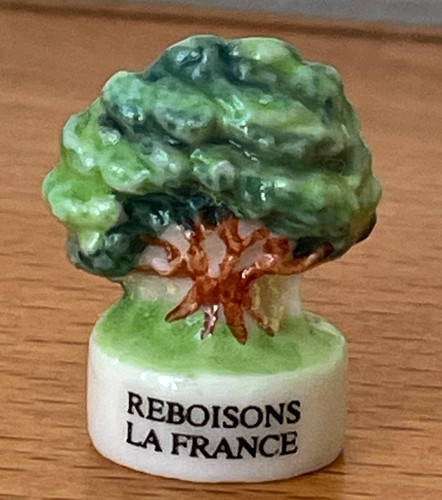 Fève arbre reboisant - reboisant, la