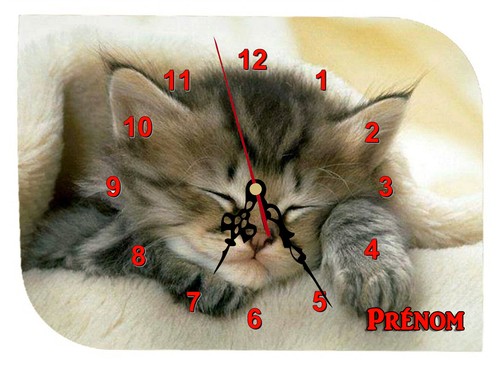 Horloge pendule murale - pendule, ref