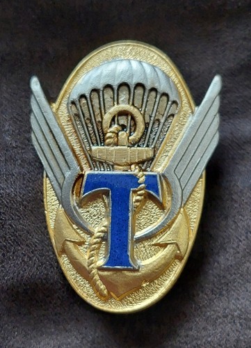 342 eme ctp - ., insigne