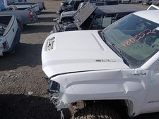 Hood fits - pickup, only)