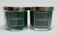 2 Bath & Body Works EVERGREEN 1-Wick Medium Jar Candle 4 oz NEW Green