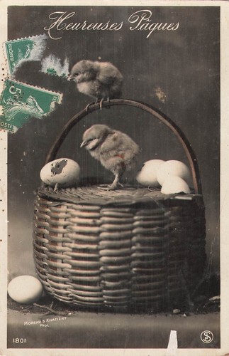Happy easter chicks eggs - cp,