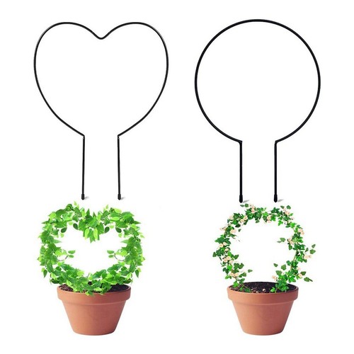 Supports plantes grimpantes - plantes,